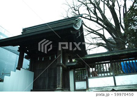 阿蘇市　阿蘇神社 59970450