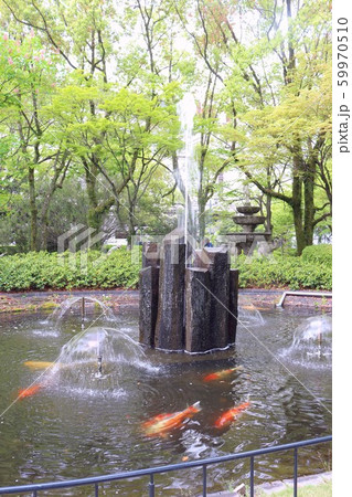 鯉の噴水　 噴水の鯉の写真素材 [59970510] - PIXTA