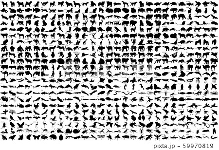 動物シルエット名称 59970819