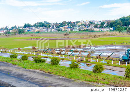 令和元年台風第19号が過ぎ去った一週間後の多摩川河川敷 59972287