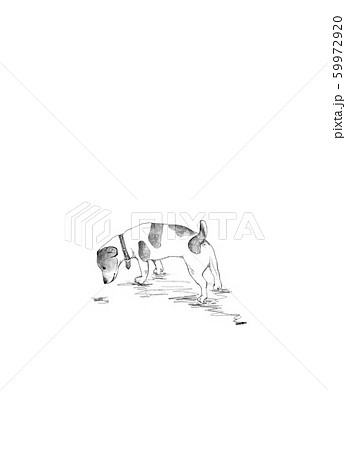シンプルな犬の線画のイラスト素材