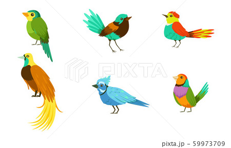 Set With Different Birds With Bright Colorful Plumage Vector Illustration Cartoon Character 59973709