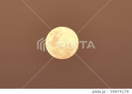 満月 59974179