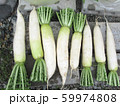 干してる大根 59974808