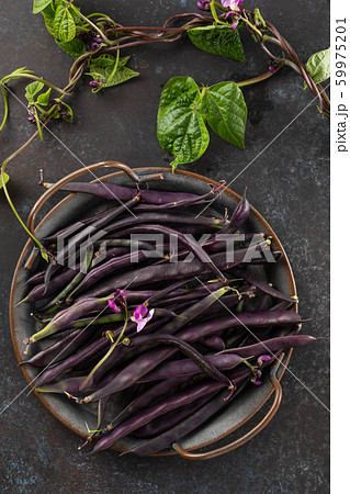 Fresh purple string beans on a black table, clean eating, selective focus. Top view. 59975201