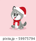 Christmas illustration with husky puppy in santas hat and with scarf. Vector. 59975794