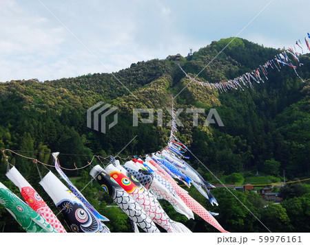 四万十川 鯉のぼりの川渡しの写真素材