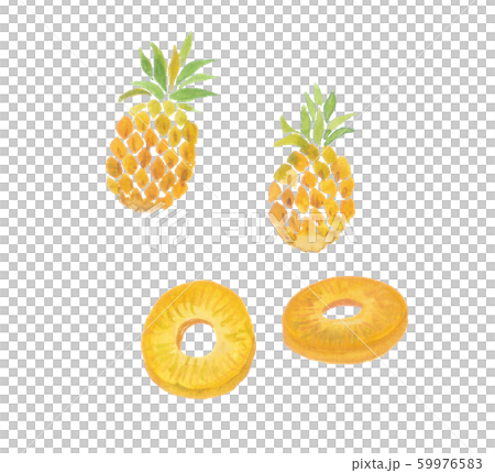 pineapple  59976583