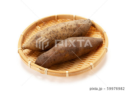 ヤーコン 59976982