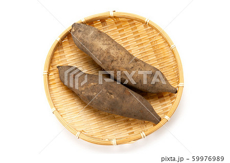 ヤーコン 59976989