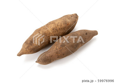 ヤーコン ヤーコン 59976996