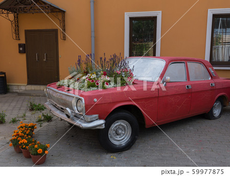 installation of flowers on the hood of the car installation of flowers on the hood of the car 59977875