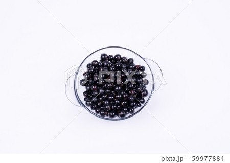 black currant 59977884