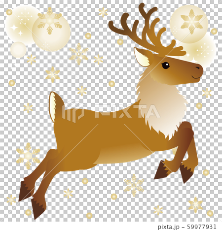 聖誕馴鹿鹿奔跑構成閃光閃光雪 59977931