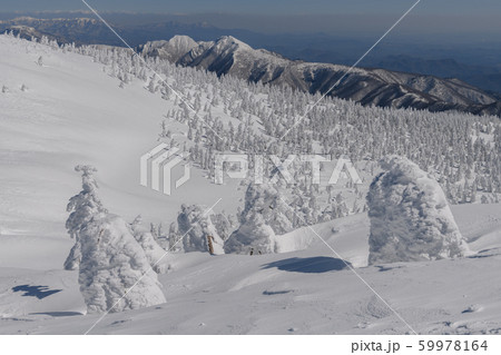 蔵王の樹氷 蔵王の樹氷 59978164