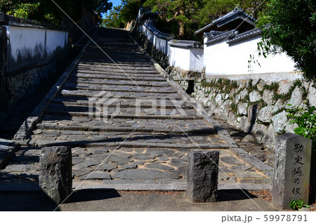 大分県　杵築市　「豊後の小京都」の歴史と情緒溢れる町並み 59978791