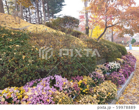 韓国の風景 風景 韓国 59978889