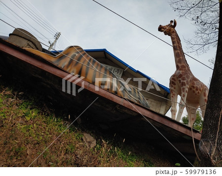 韓国の風景 韓国 風景 59979136