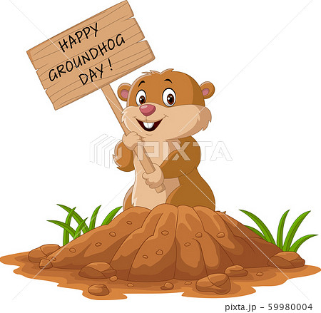 Happy groundhog day. Funny groundhog holding wooden sign 59980004