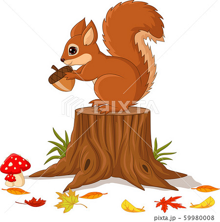 Cartoon funny squirrel holding pine cone on tree stump 59980008