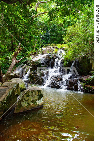 Nature Tropical Waterfall Lanscape with foliage and stones 59980268