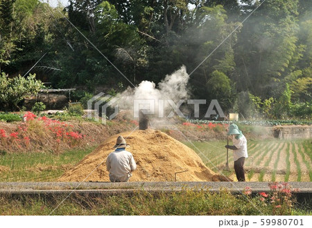 農夫婦 59980701