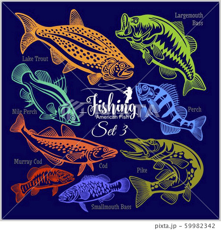 American Fish - vector set 3 for creative design, t-shirt, badge and logo. Isolated on blue. 59982342