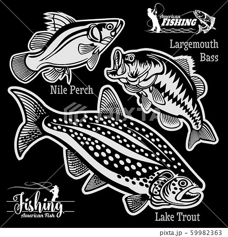 Largemouth Bass, Lake Trout and Nile Perch fishing on usa isolated on black 59982363