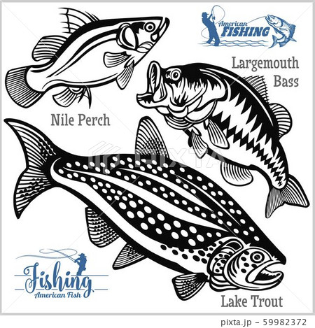 Largemouth Bass, Lake Trout and Nile Perch fishing on usa isolated on white 59982372