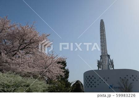 春のエキスポシティ 59983226