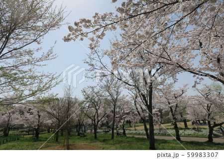 万博記念公園 万博記念公園 59983307