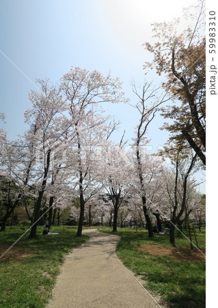 万博記念公園 59983310