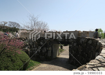 万博記念公園～春の泉～ 59983333