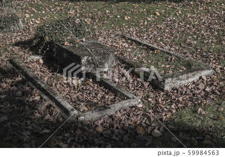 two old unkept dissolute abandoned graves with ivy 59984563