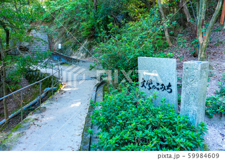 文学のこみちの風景 59984609