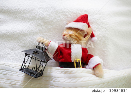 Baby cat in Christmas Santa hat. Kitten in winter. Baby cat in Christmas Santa hat. Kitten in winter. 59984654