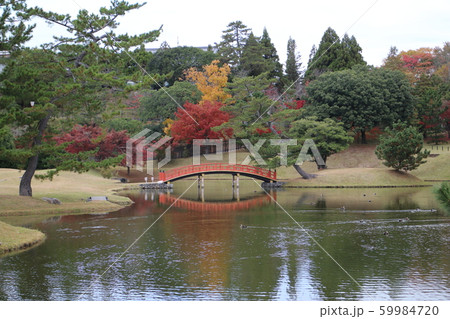 名勝旧大乗院庭園 59984720