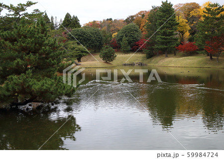 名勝旧大乗院庭園 59984724