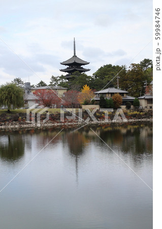 興福寺五重塔 59984746