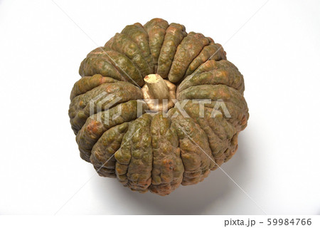 菊座南瓜 菊座南瓜 59984766