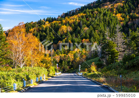《長野県》秋の志賀高原・紅葉のワインディングロード 《長野県》秋の志賀高原・紅葉のワインディングロード 59985010