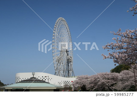 春のエキスポシティ 59985277