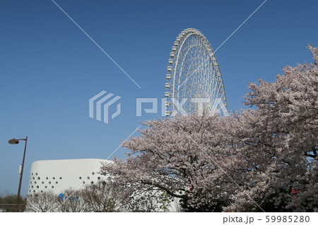 春のエキスポシティ 59985280