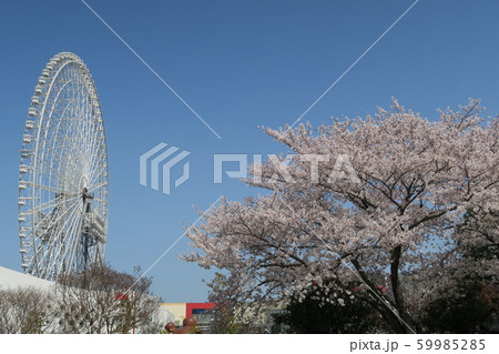 春のエキスポシティ 59985285