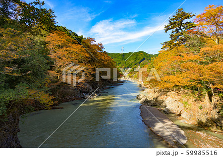 沢井楓橋からの多摩川の風景 沢井楓橋からの多摩川の風景 59985516