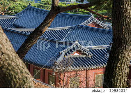 屋根 宮 宮殿 59986054