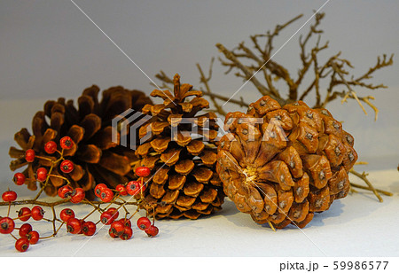 Pine cones for decoration at modern house Pine cones for decoration at modern house 59986577