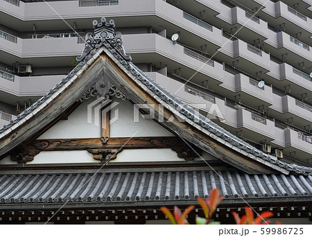 Decorated roof top of the Buddhist temple 59986725