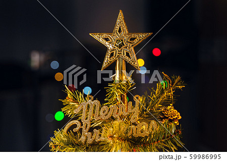 クリスマスホーリー クリスマス・ホーリー クリスマスツリー 59986995