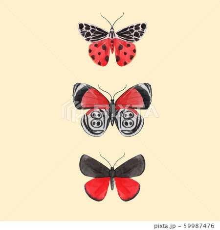 Beautiful vector watercolor three red butterfly set. Colorful summer insects. Hand drawn clip art. Beauty of nature. Transparent background. Isolated objects Beautiful vector watercolor three red butterfly set. Colorful summer insects. Hand drawn clip art. Beauty of nature. Transparent background. Isolated objects 59987476